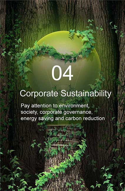 corporate sustainability